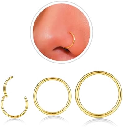 18g Nose Rings Hoop and 20g Nose Studs Sets for Women Men,Hypoallergenic 316L Surgical Stainless Steel Hinged Clicker Segment Nose Rings Hoop Helix Cartilage Daith Tragus Sleeper Earrings Silver Gold