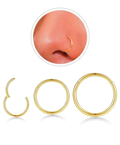 18g Nose Rings Hoop and 20g Nose Studs Sets for Women Men,Hypoallergenic 316L Surgical Stainless Steel Hinged Clicker Segment Nose Rings Hoop Helix Cartilage Daith Tragus Sleeper Earrings Silver Gold