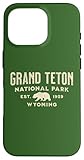 parco nazionale del grand teton custodia per iphone 16 pro