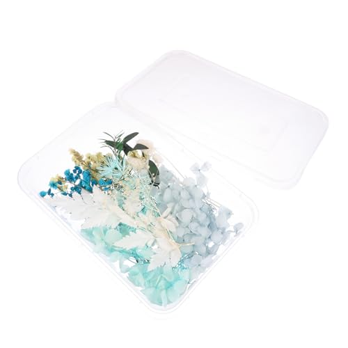 Kit DIY de Flores Secas STOBAZA 17x11.5 cm miniatura 1