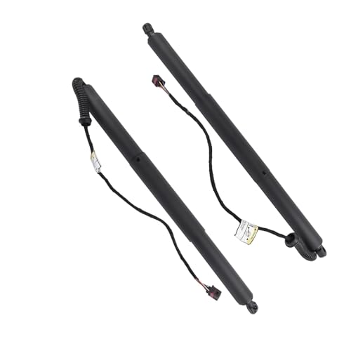 Vérins de hayon électriques pour Hyundai Santa Fe 2019 2020 gauche et droit