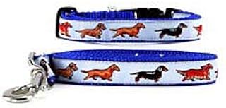 dachshund collars and leashes