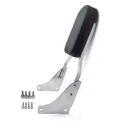 Dossier passager Shadow 1100 avec sissy bar sifflet custom