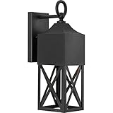 Birkdale Collection 18-3/8 in. 1-Light Textured Black Dark Sky Modern Farmhouse Outdoor Large Wall Lantern Light