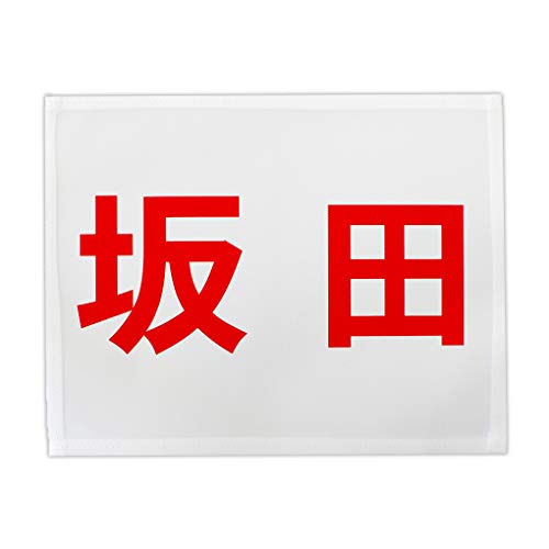 [bP 싅pvg TCY25cm×20cm ӂD^Cv 1iCAEg J[   