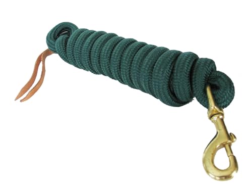 AJ Tack 9 Foot Nylon Lead Rope with Leather Popper Green