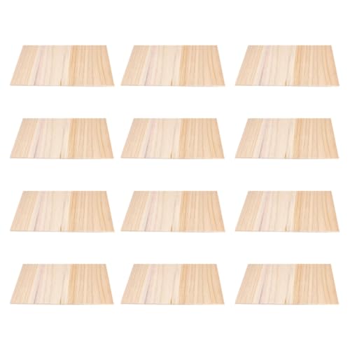 VANZACK �e�R���h�[���K�p�ؐ��u���[�L���O�{�[�h12���Z�b�g �ϖ��ՓV�R�؍� �|�[�^�u���d�l ���S�Ҍ����g���[�j���O�p�b�h �����^�[�Q�b�g