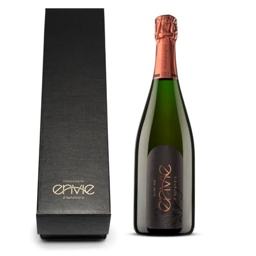 Rosé Champagner