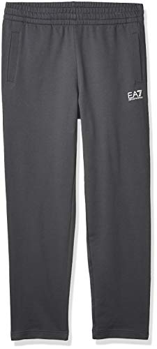 Emporio Armani EA7 Men's Train Core Jogger, Iron gate, L