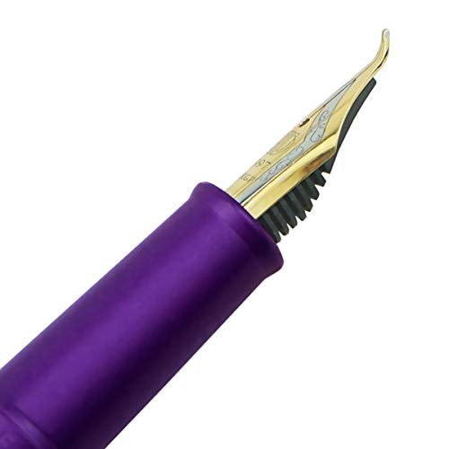 Image of Asvine Purple Fude Pen, Bent Nib Fountain Pen Calligraphy (Fine to Broad) with Converter and Metal Pen Case Set