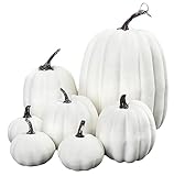 7 Pcs Artificial Pumpkins Fall Decor, Fake Pumpkins Set, White Faux Pumpkins Plastic Pumpkins for Decorating, Decorative Foam Pumpkins for Harvest Autumn Halloween Thanksgiving Decorations (White)