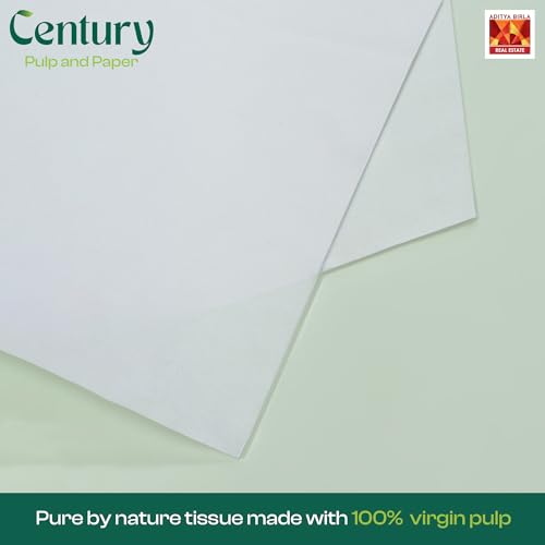 Image of Century 2 Ply 100% Virgin Pulp Soft Facial Tissue Box | Car Tissue - 100 Pulls Per Roll (Pack of 4)