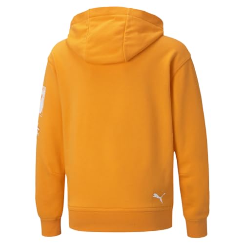 PUMA Kids Boys Bmw Mms Street Logo Hoodie Athletic Outerwear Casual - Orange2