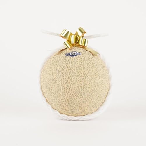 [定期便][定期便3ヶ月][訳あり]御前崎市産アローマメロン 1玉 3ヶ月連続お届け|マスクメロン フルーツ 果物 くだもの デザート 家庭用 静岡