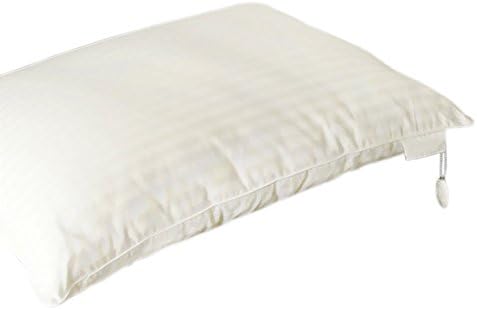 SILX Silk Filled Pillow, King