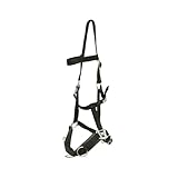 Huntley Equestrian Nylon Padded Lunging Caveson - Pony (Black)