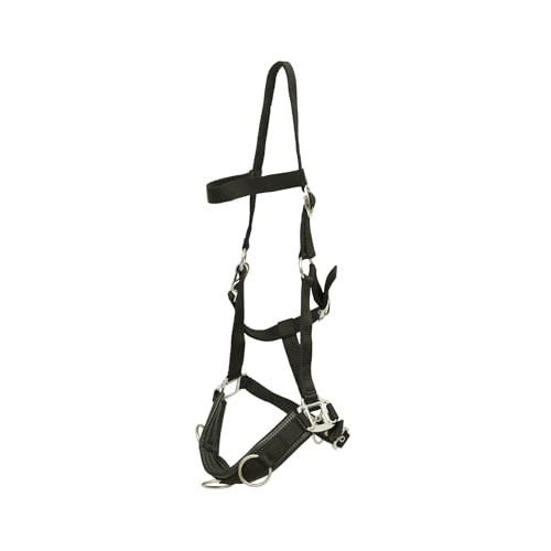Huntley Equestrian Nylon Padded Lunging Caveson - Pony (Black)