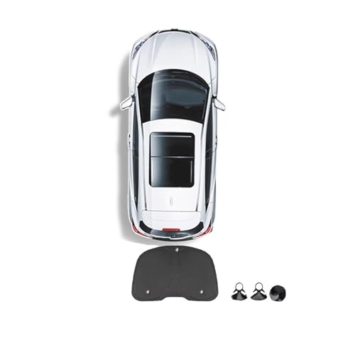 ˃TVF[h eX f3 nCh 2024 2025 vCoV[TVF[h TChEBhET[tTVF[h uChVF[fBO Lv xep ԗpTVF[h oCU[Jo[ (E)