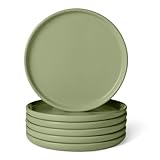 Amazon Basics Assiettes Plates en Grès Émaillé, Lot de 6 Pièces, 26,7cm, Compatible Mi...