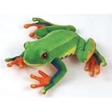 Red Eye Tree Frog 8