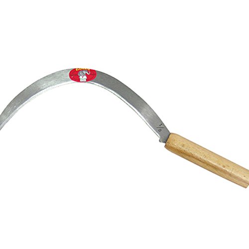 Falciole 'FALCI' FALCIOLE C/DENTI N