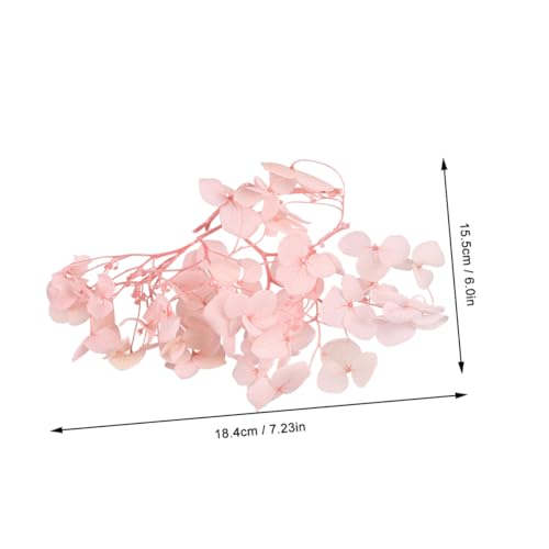 Petalos Secos de Hortensia Rosa para Manualidades miniatura 5