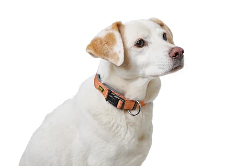 Hunter Hundehalsung NEOPREN Vario Plus, Farbe: Kupfer/grau, strapazierfähiges Nylon, weiche Neoprenpolsterung, stufenlos verstellbar, mit Zugentlastung, pflegeleicht, komfortabel, Größe: S-M/2,0