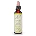 Bach Original Flower Remedy Dropper, 20 ml, Mustard Flower Essence