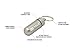 True Utility CashStash Waterproof Emergency Cash Capsule for Key Ring, Gold