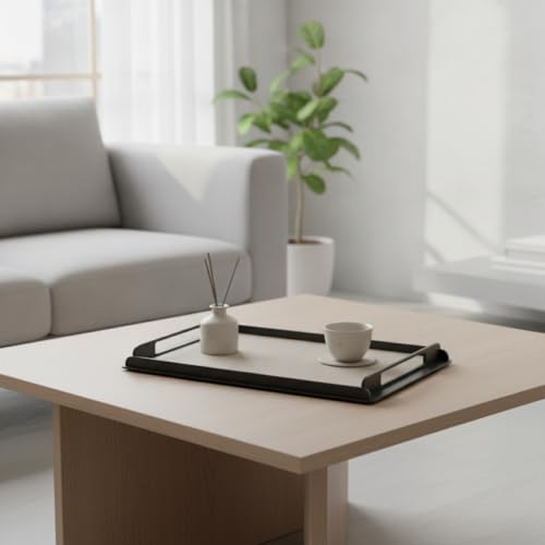 Bandeja rectangular de metal y cuero de mesa organizadora predolo 5