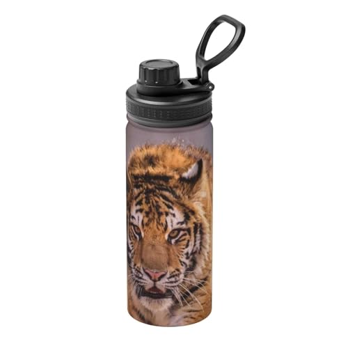 �`�[�^�[�͊l���ɂ���i7�j ���� �ۉ� �ۗ� 532ml 18oz �y�� �X�e�����X�{�g�� �n���h���t�� �^��f�M �R��Ȃ� �n���h���t �ʋ� �ʊw �j�̎q ���̎q ��l �q���p �W�t�� ���蕨