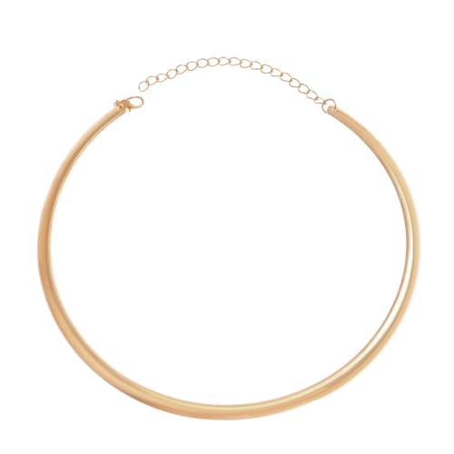 ONBRIG Collar Necklace for Woman Trendy Silver Choker Necklaces for Woman Statement Open Round Collar Choker Necklace (Style 5)