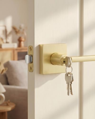 Haidms Brushed Gold Keyed Entry Door Handles with Lock and Key, 1 Pack