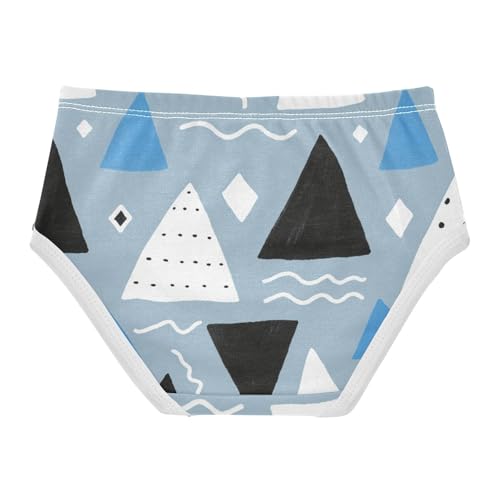 Cotton Panties Underwear Soft Touch Comfort Color for Girls in Sizes 2T,3T, 4T, 5T, 6Y and 8Y2