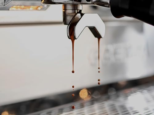 Vittoria Organic Espresso Café en Grano 500 g miniatura 6