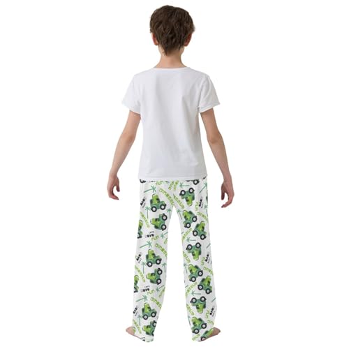 ZZXXB Dinosaur Has Fun Boys Long Pants Soft Trousers Elastic Waist Kids Lounge Bottoms with Pockets S-XL3