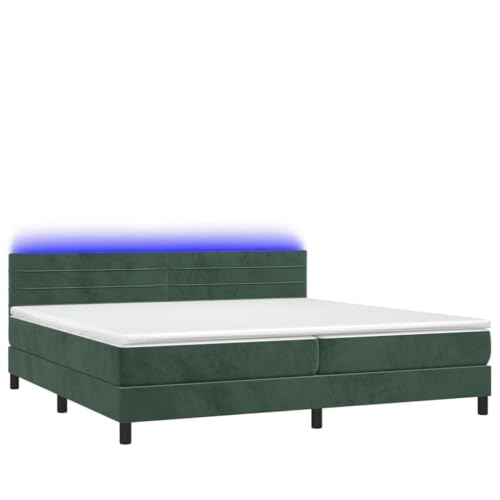 Genérico Wenjingqi Cama Box Spring colchón y LED Terciopelo Verde Oscuro 200x200cm, Verde 3134486