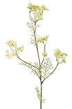 artplants