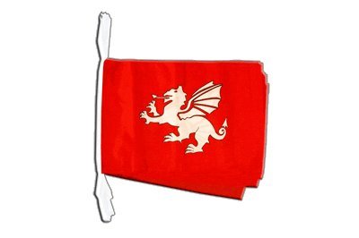 Guirlande Angleterre avec Dragon Digni de 8,9 m de long pour événement