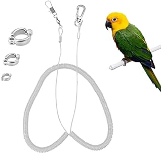 Andiker Parrot Flying Rope, 5 Meters Parrot Foot Chain Flying Training Leash OutdoorAnti-Bite Elastic String Training Harness for Agapornis Fischeri Cockatiels Starling Birds (white)
