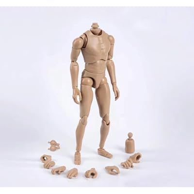 16 Scale Narrow Shoulder Male Body Doll Action Figure for TTM18 TTM19 Hot Toys & Human Body Sketch Model