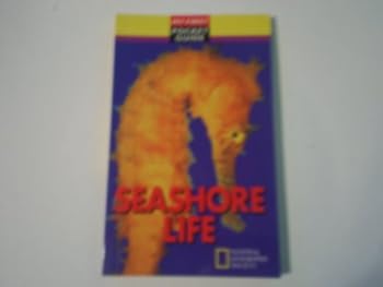 Paperback Seashore life (My first pocket guide) Book