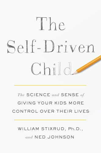 The Self-Driven Child view 2