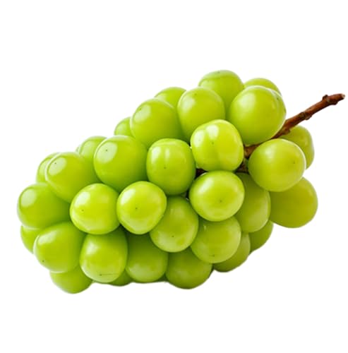 シャインマスカット 2.5kg [2026年8月下旬発送開始](茨城県共通品:大子町) ぶどう 葡萄 ブドウ マスカット フルーツ 果物 贈答用 ギフト 贈り物