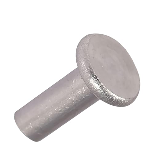 Rivets à tête plate solides M5 x 16mm pour fixation lisse de métal, 50 pièces