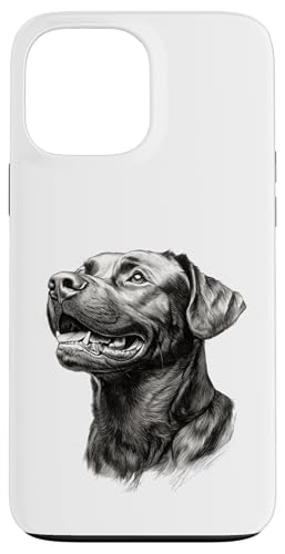 ���A���ȍ������u���h�[�����̃X�P�b�`�A�[�g�B �X�}�z�P�[�X iPhone 13 Pro Max �p