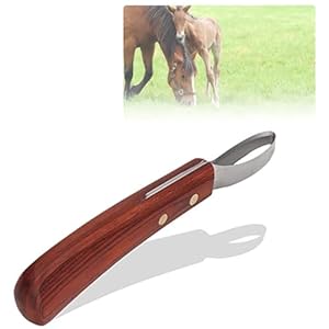 KUIDAMOS Hoof Knife for Horses, Double Edged Hoof Trimming Knife Hoof Trimmers with Stainless Steel Blade Cattle Horse Farrier Tools with Handle Farrier Hoof Loop Knife Farrier Supplies for Cutting