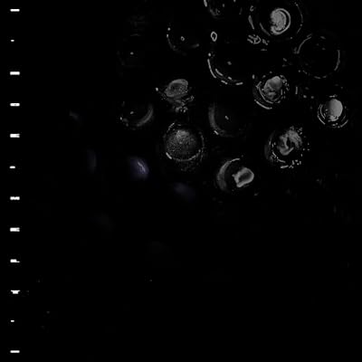 Portada del vinilo Ice Melt de Crumb
