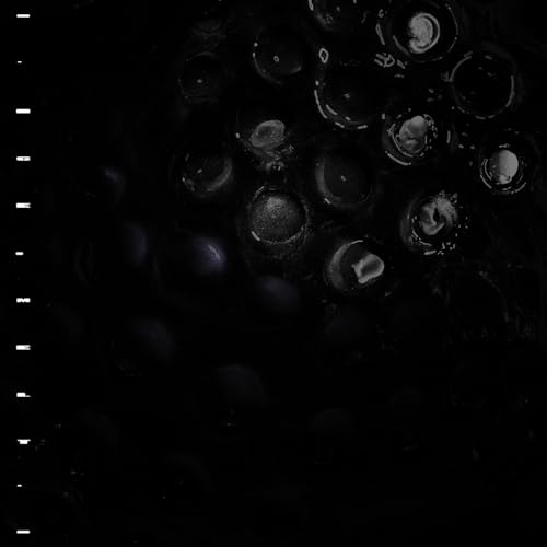 Portada del vinilo Ice Melt de Crumb