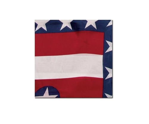 Wyoming Traders Wild Rag Liberty Patriotic Red White Blue America Silk Scarf